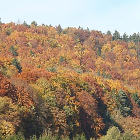 B&B Arlesbrunnen Egloffstein Buitenkant foto