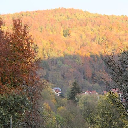 B&B Arlesbrunnen Egloffstein Buitenkant foto