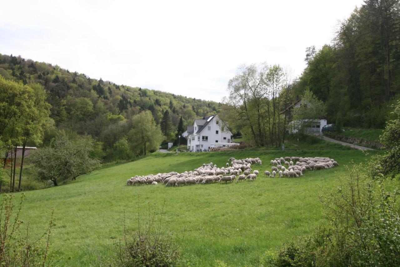 B&B Arlesbrunnen Egloffstein Buitenkant foto