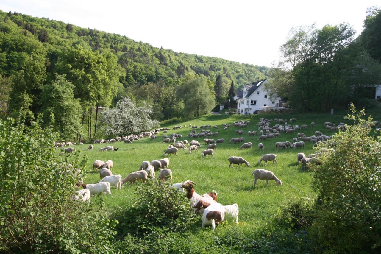 B&B Arlesbrunnen Egloffstein Buitenkant foto