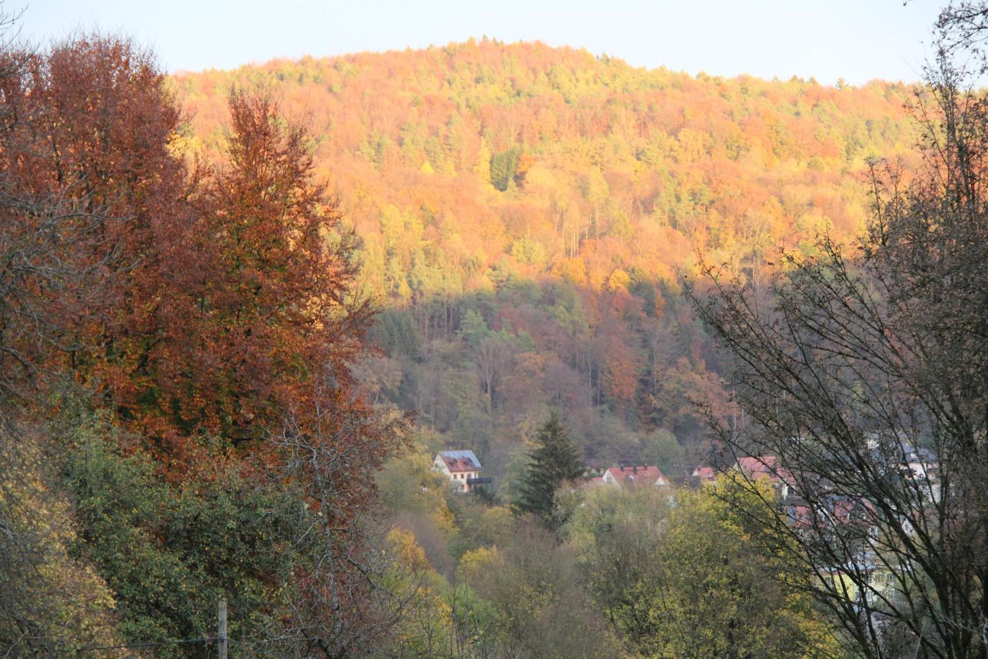 B&B Arlesbrunnen Egloffstein Buitenkant foto
